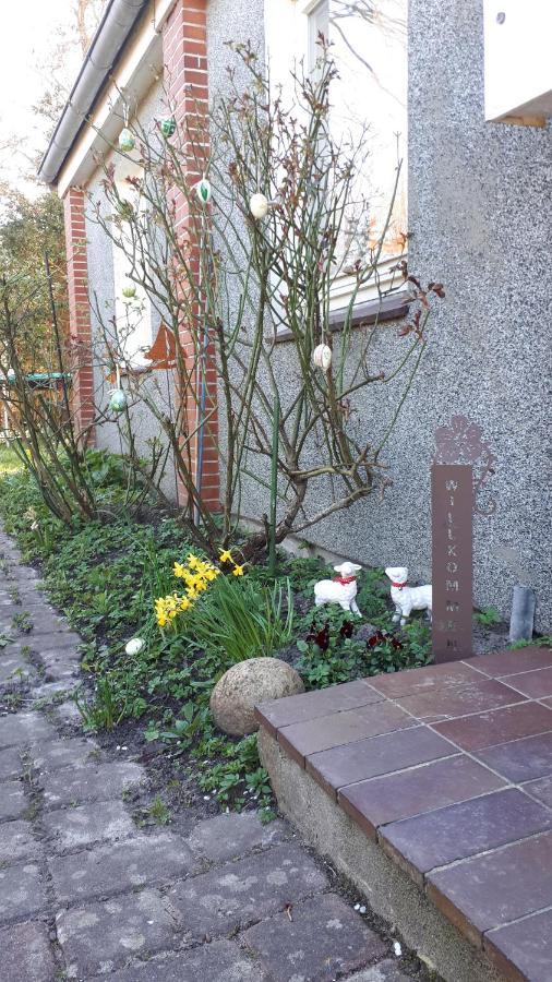 Ferienhaus In Buesumer Deichhausen - Buesum An Der Nordsee Fuer Bis Zu 9 Personen Экстерьер фото